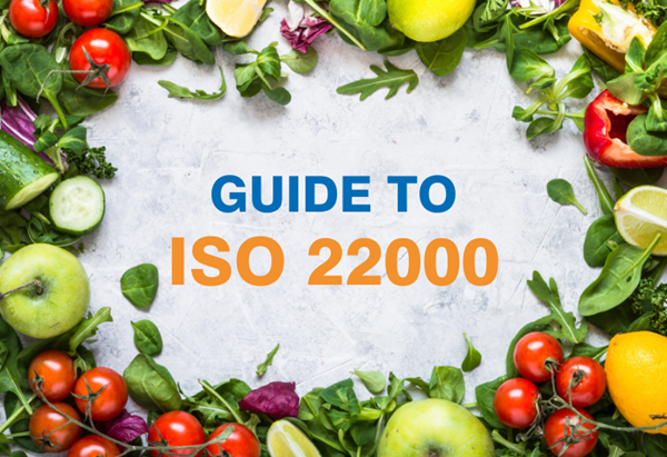 Guía sobre la norma ISO 22000 summary image