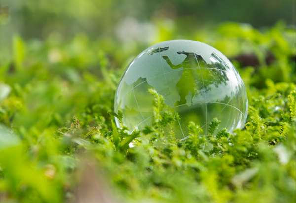 ¿Qué puede esperar su empresa de la COP 28? summary image