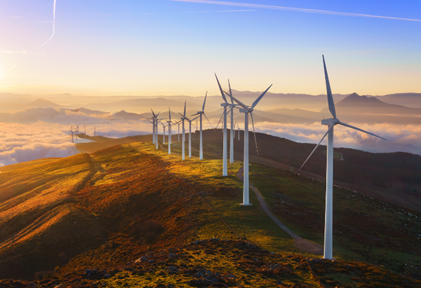 A guide to carbon planning and business sustainability in 2024 summary image
