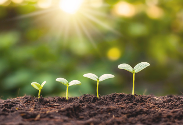 Social responsibility matters: an essential overview of ISO 26000 summary image