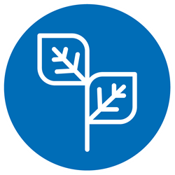 Carbon natural badge