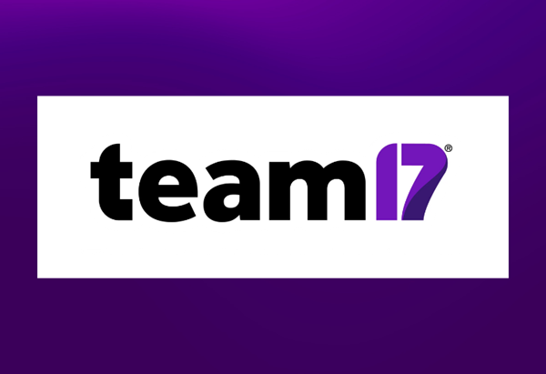 Team17 Case Study summary image