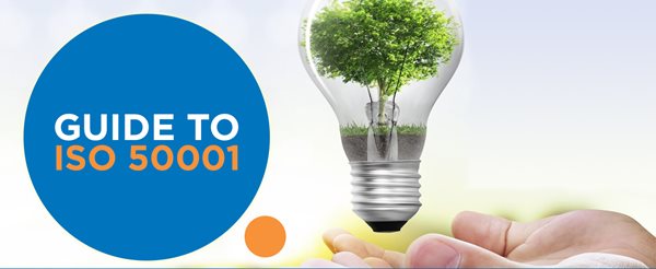 Guía para la ISO 50001 summary image