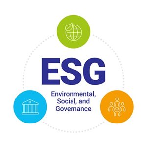 What do we mean by ESG?