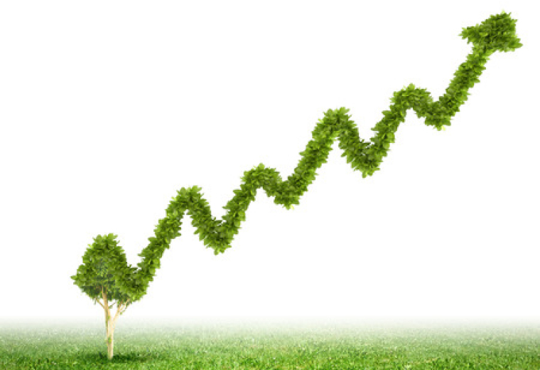 ISO 14001:2015 - Clause 9.1: Monitoring and Measurement summary image