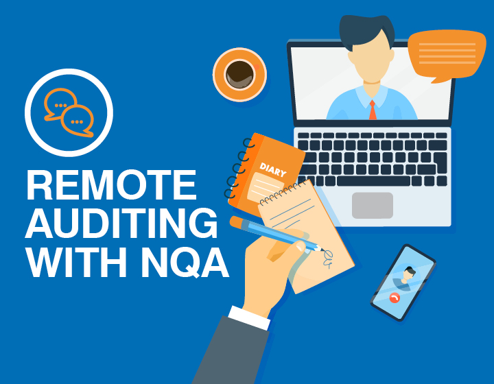My First Remote Audit with Kris Erickson summary image